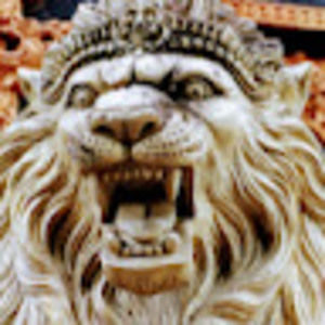 Meet your Posher, Joel